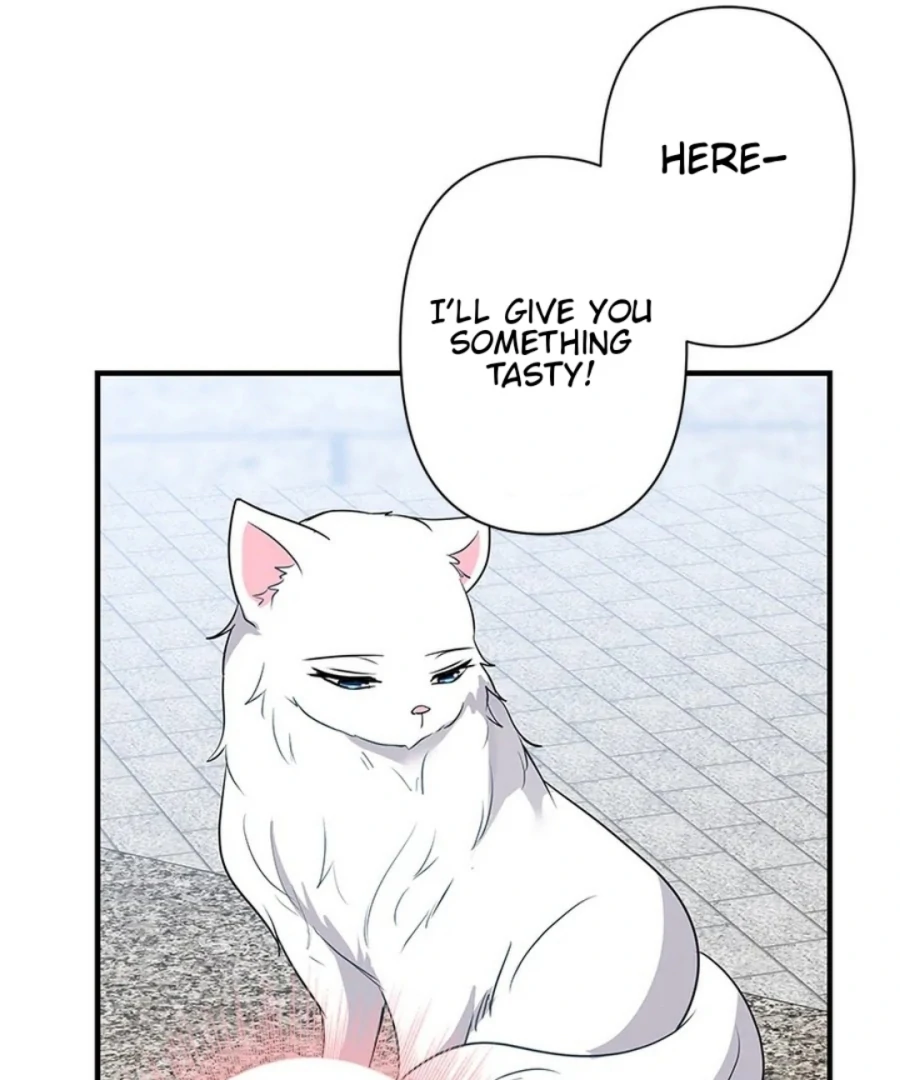 Calm Down, Lady Ophelia! Chapter 14 454 105