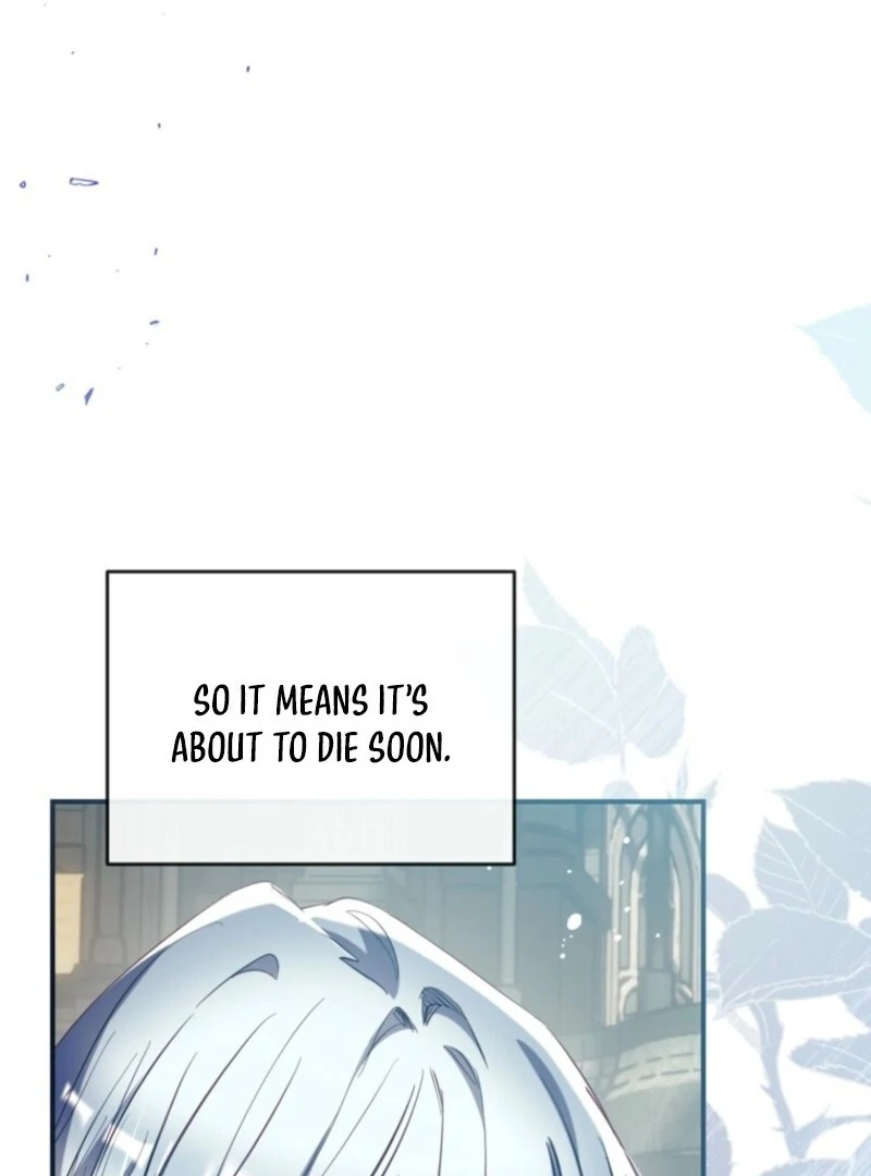 Can We Become a Family? Chapter 155 459 053