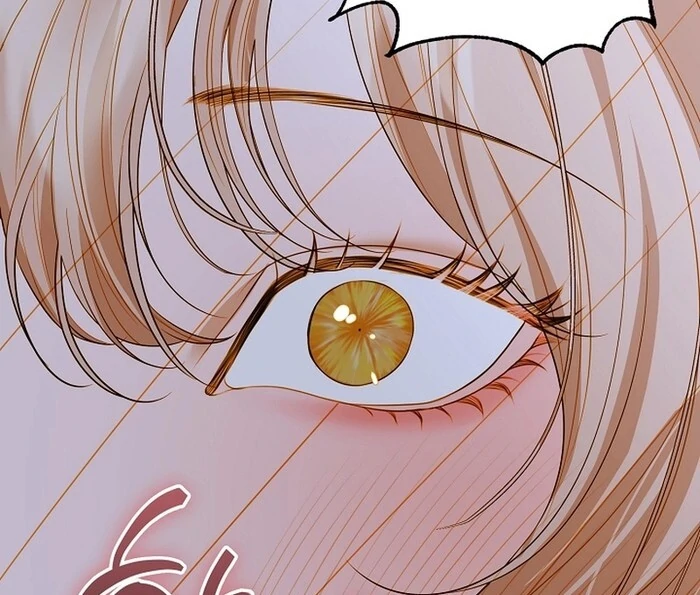 Cassnier’s Secret Memoirs Chapter 22 385 93