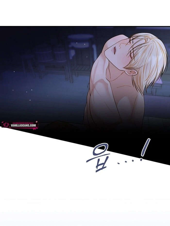 Cassnier’s Secret Memoirs Chapter 23 232 27