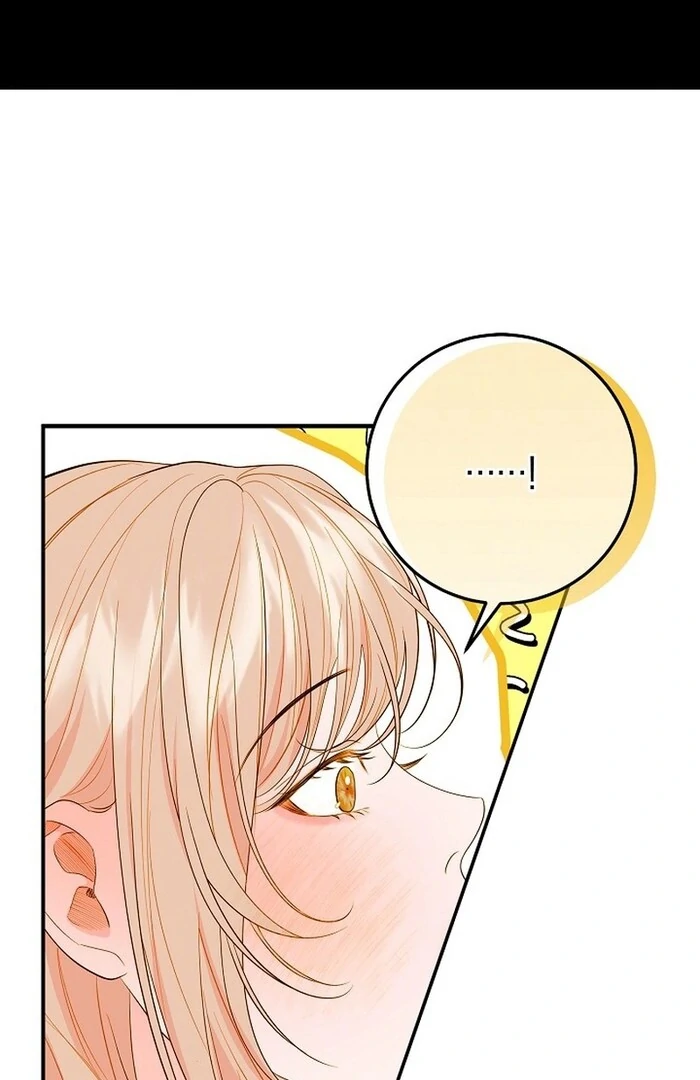 Cassnier’s Secret Memoirs Chapter 23 243 38