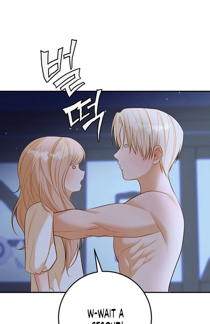 Cassnier’s Secret Memoirs Chapter 23 257 52