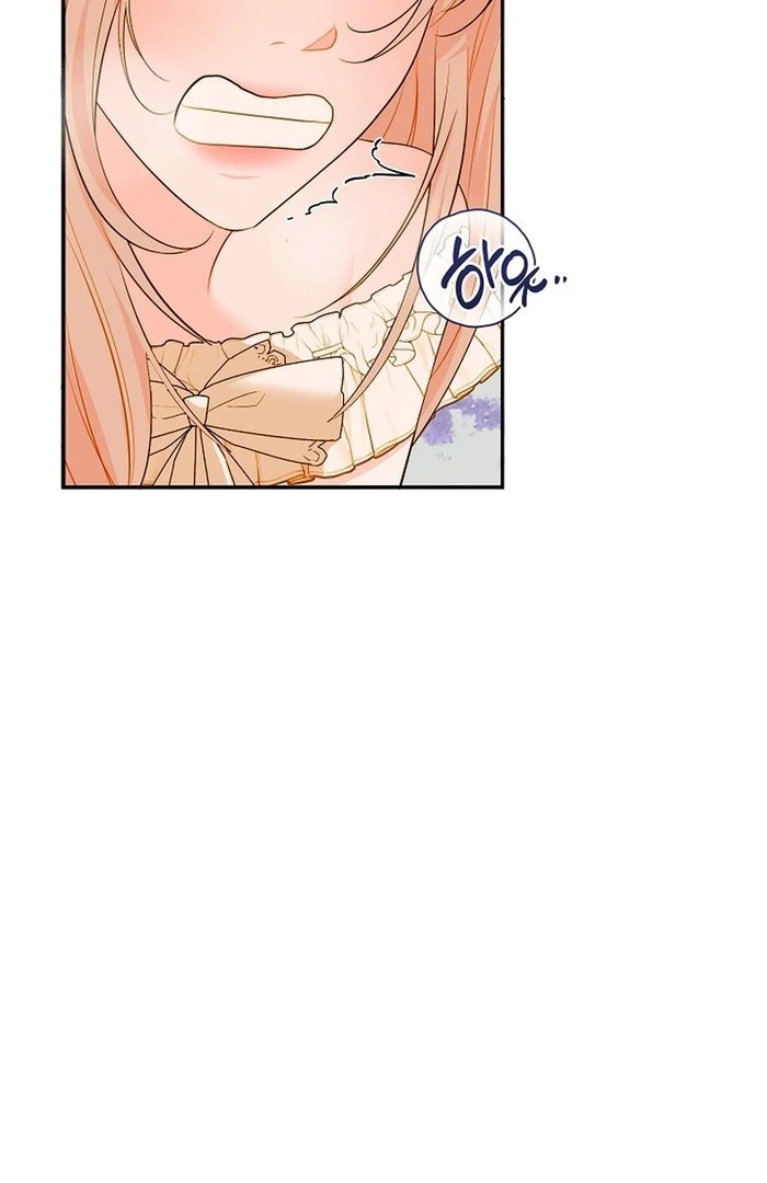 Cassnier’s Secret Memoirs Chapter 23 263 58