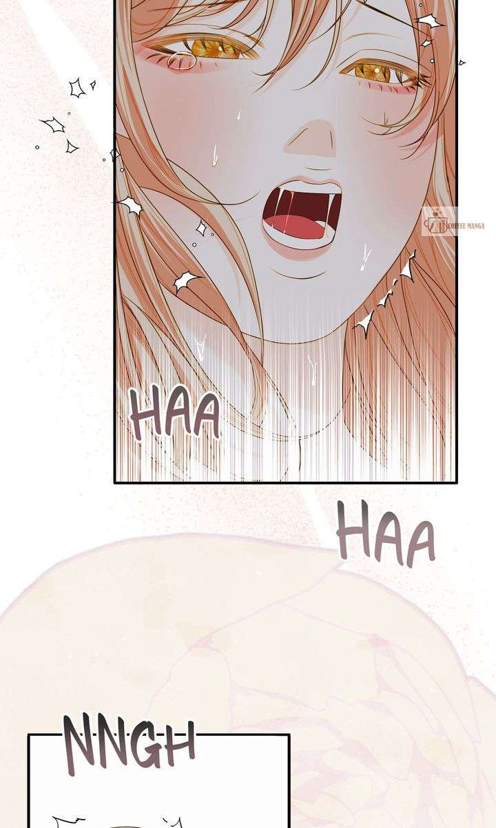 Cassnier’s Secret Memoirs Chapter 42 374 055