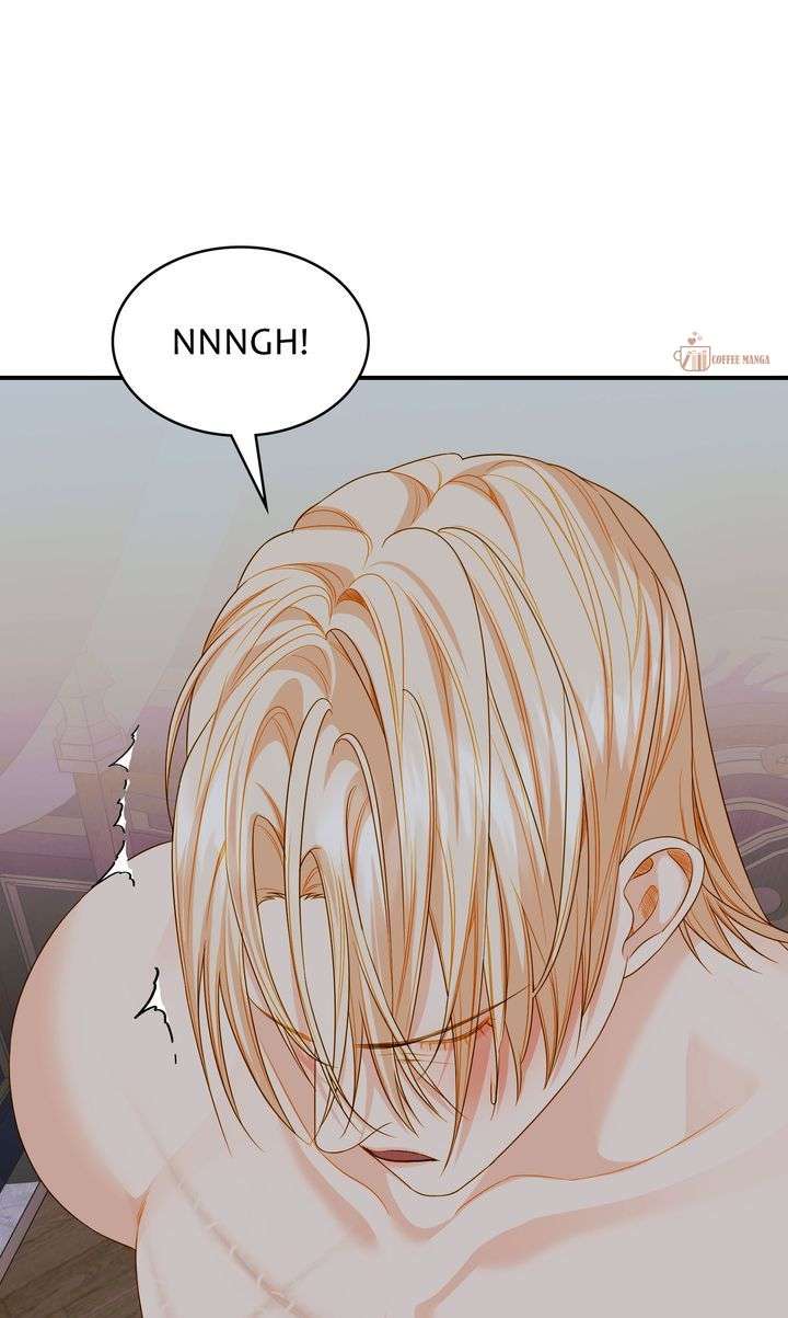 Cassnier’s Secret Memoirs Chapter 42 386 067