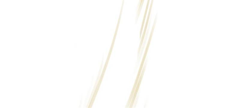 Celebrating the Remaining Life Chapter 159 365 70