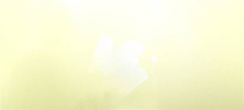 Celebrating the Remaining Life Chapter 159 369 74