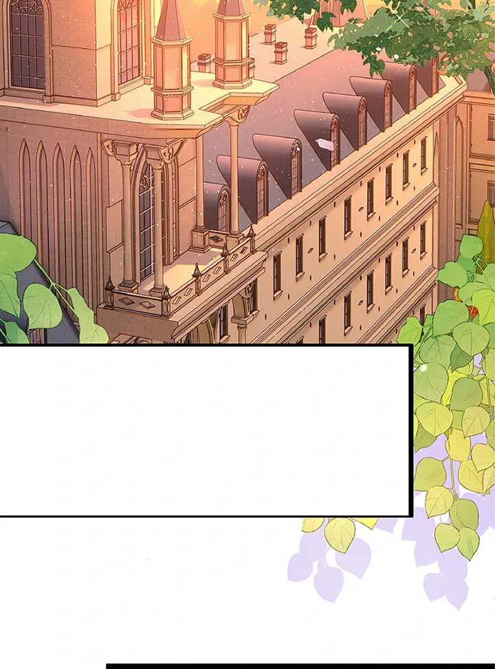 Cradle of the Beast Witch Chapter 2 803 139