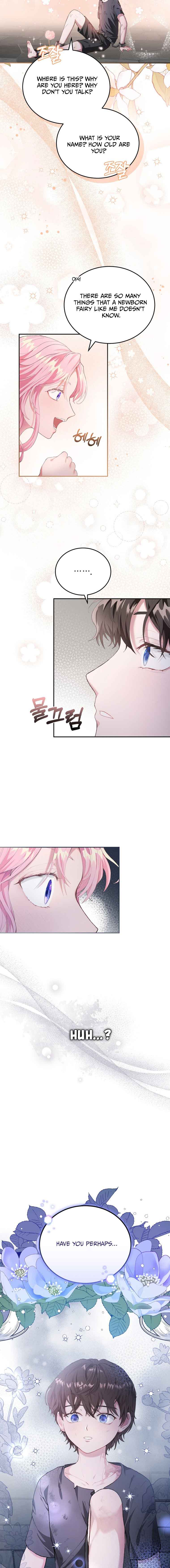 Dear Fairy, Please Contract With Me Chapter 1 100 19