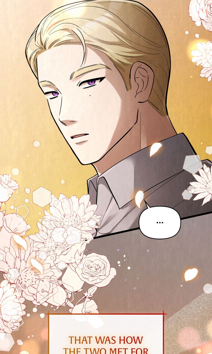 Dear, Not Cunning Witch Chapter 39 282 17