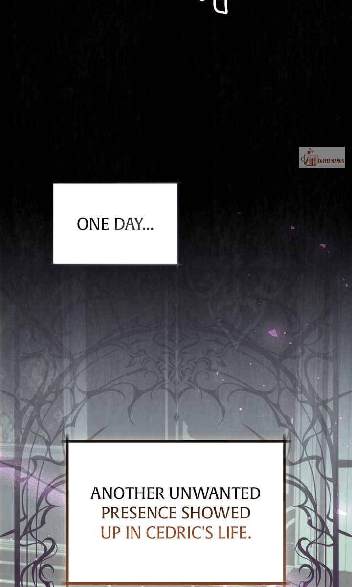 Dear, Not Cunning Witch Chapter 40 280 39