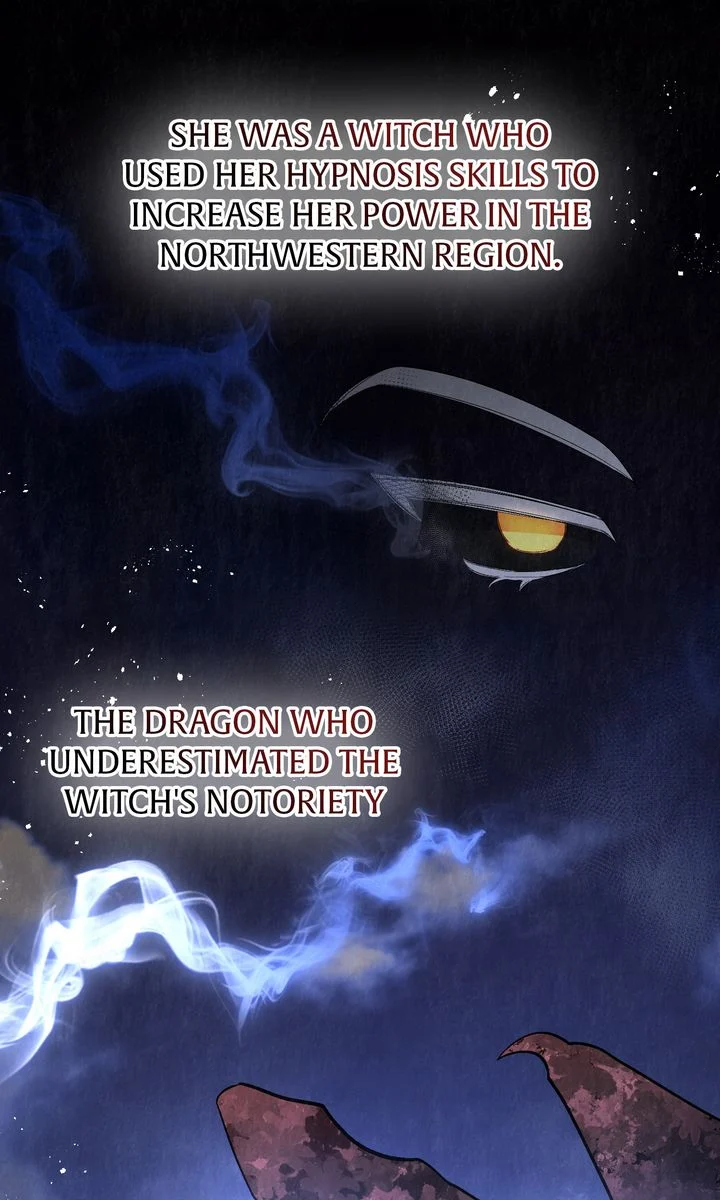 Dear, Not Cunning Witch Chapter 43 265 12