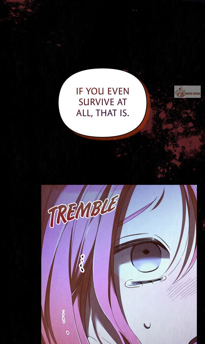 Dear, Not Cunning Witch Chapter 51 278 58