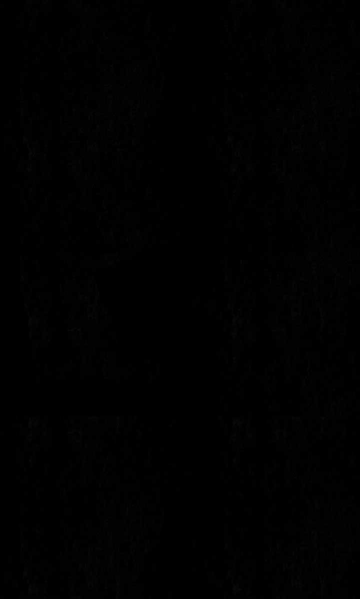 Dear, Not Cunning Witch Chapter 57 279 53