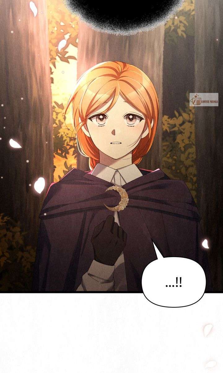 Dear, Not Cunning Witch Chapter 61 336 32