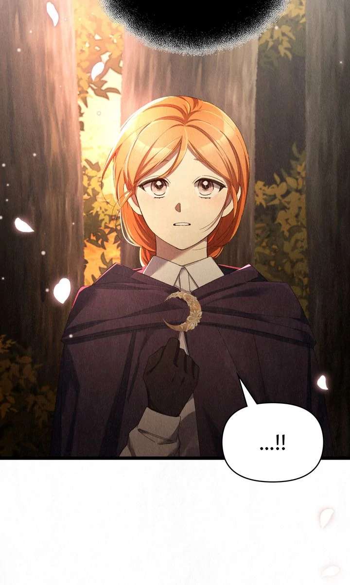 Dear, Not Cunning Witch Chapter 62 336 32