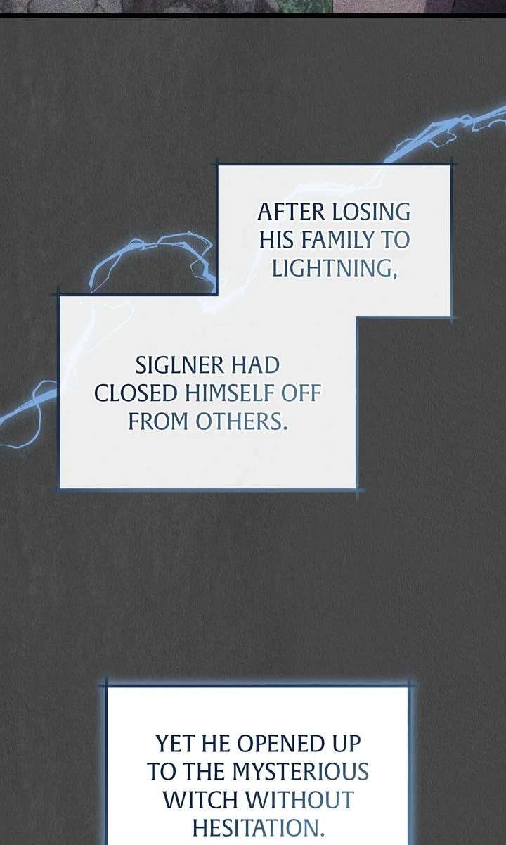 Dear, Not Cunning Witch Chapter 63 282 29