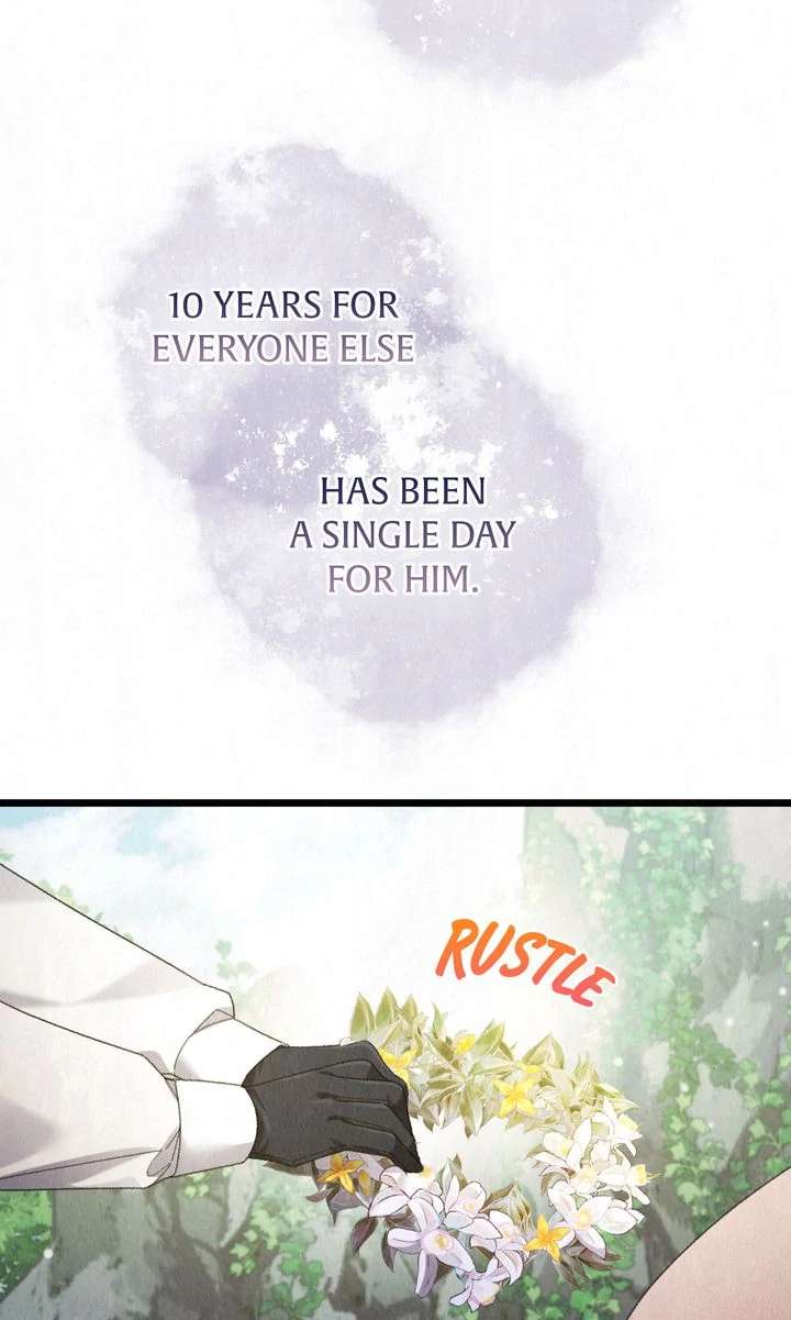 Dear, Not Cunning Witch Chapter 63 318 65