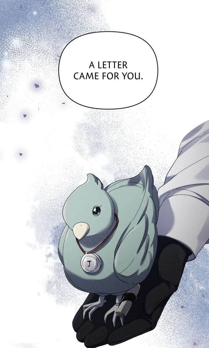 Dear, Not Cunning Witch Chapter 65 317 70