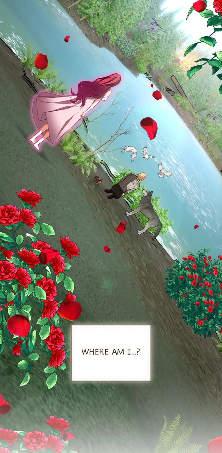 Divorce is the Condition Chapter 45 259 ch 45 3