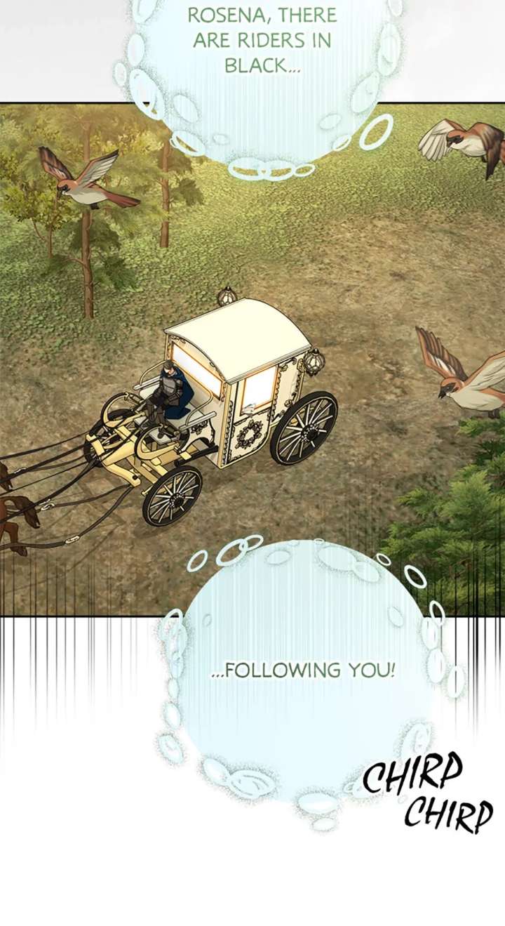 Divorce is the Condition Chapter 73 284 19