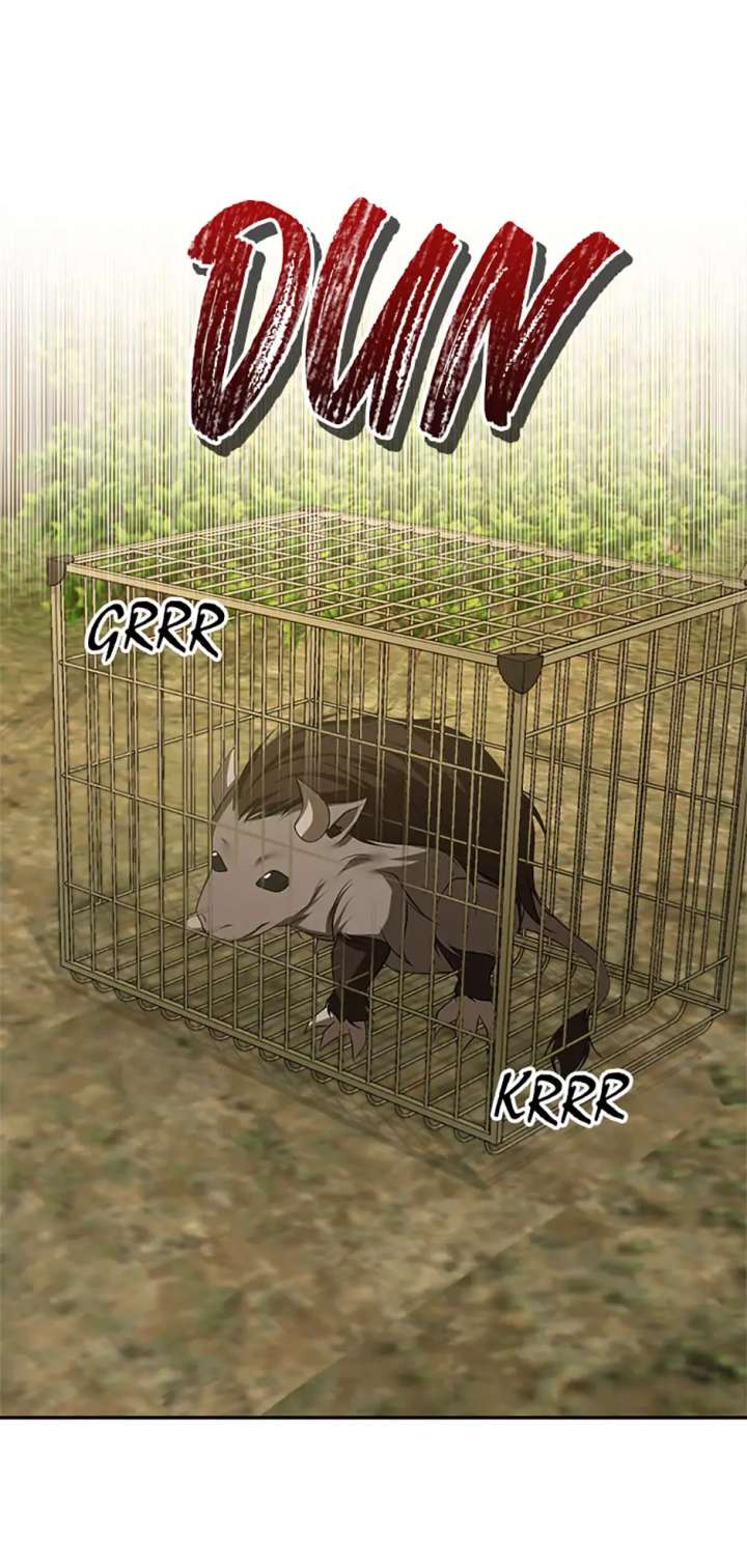 Divorce is the Condition Chapter 73 325 60