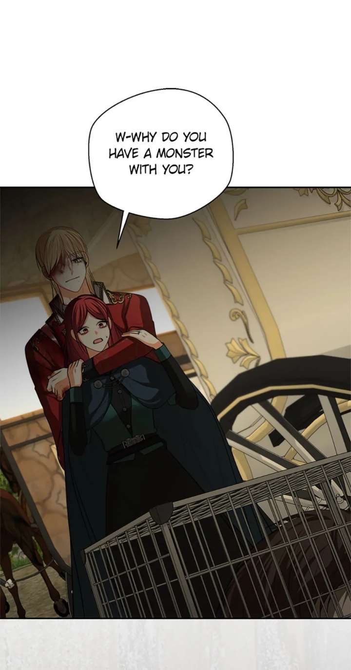 Divorce is the Condition Chapter 73 326 61