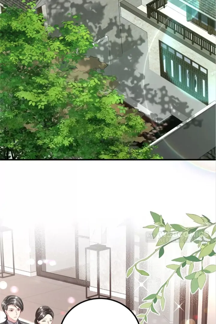 Divorce, Then A Comeback with Billions Chapter 18 107 ch 18 19