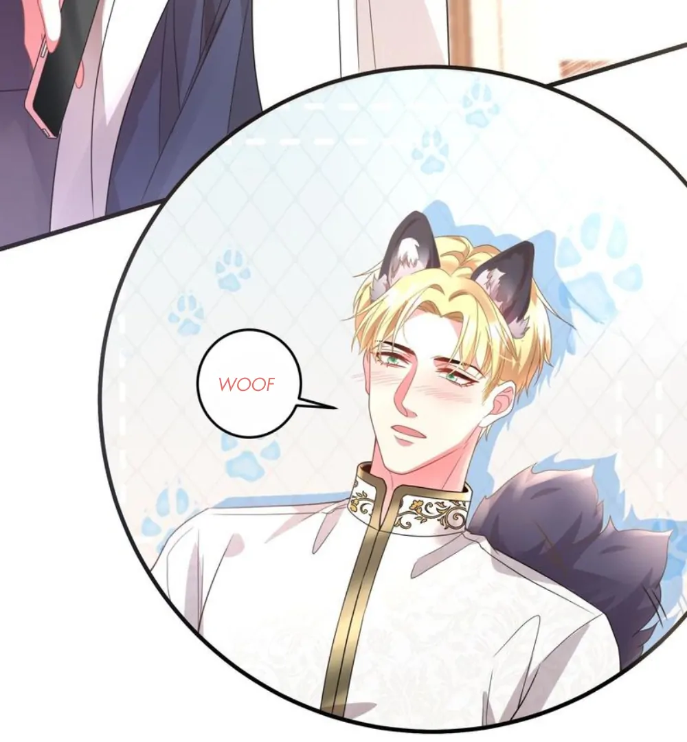 Divorce, Then A Comeback with Billions Chapter 8 202 ch 8 21