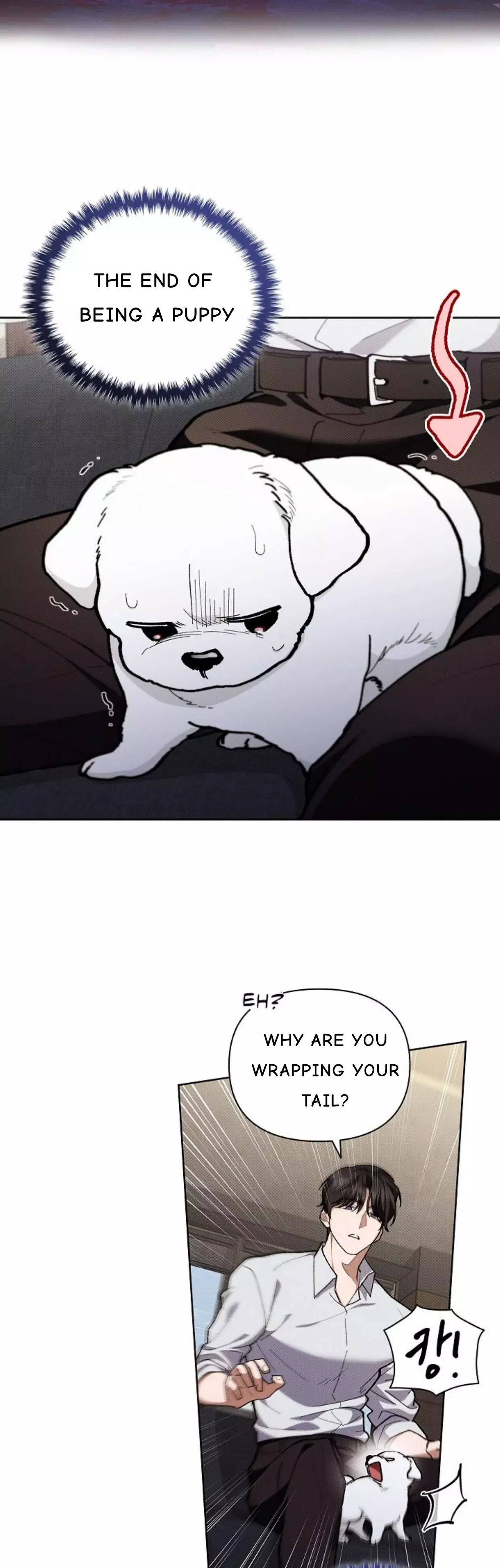 Don’t Mess With The Puppy! Chapter 4 168 35