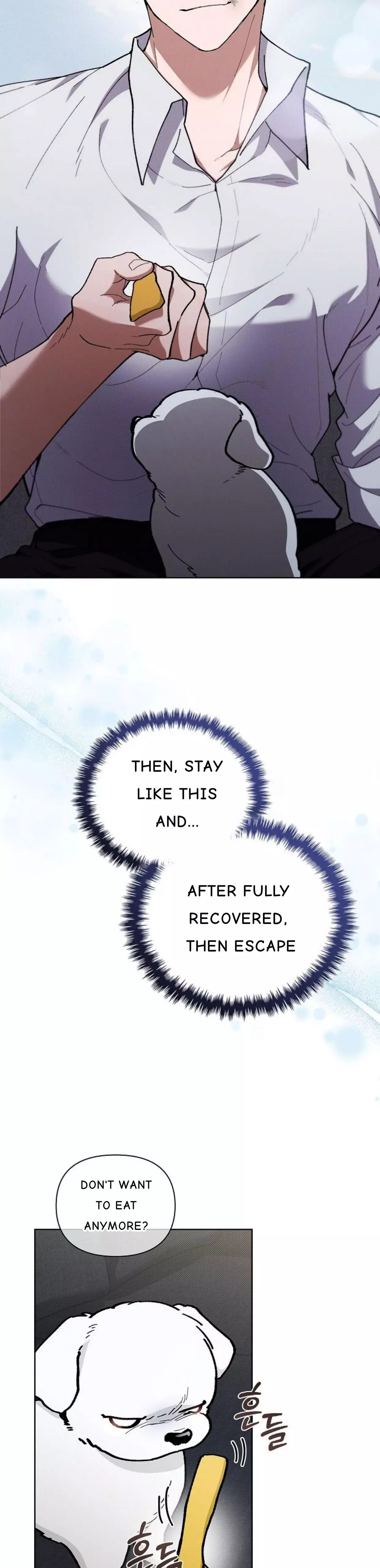 Don’t Mess With The Puppy! Chapter 4 171 38