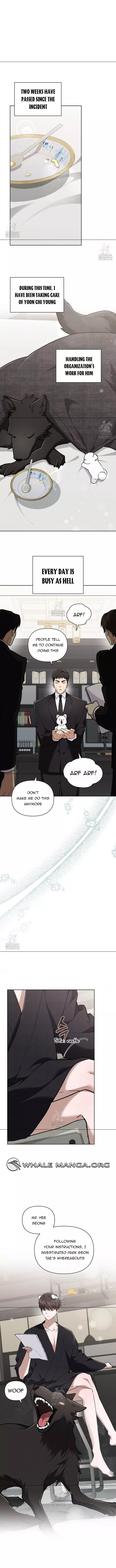 Don’t Mess With The Puppy! Chapter 45 49 3