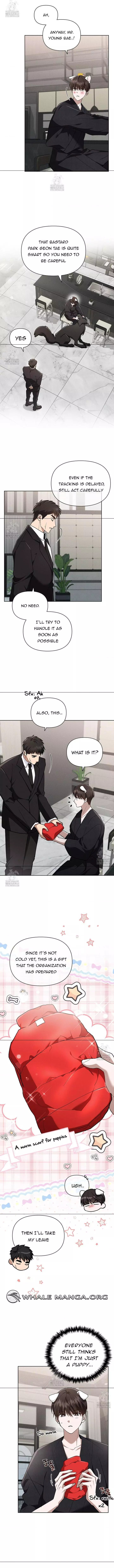 Don’t Mess With The Puppy! Chapter 45 52 6