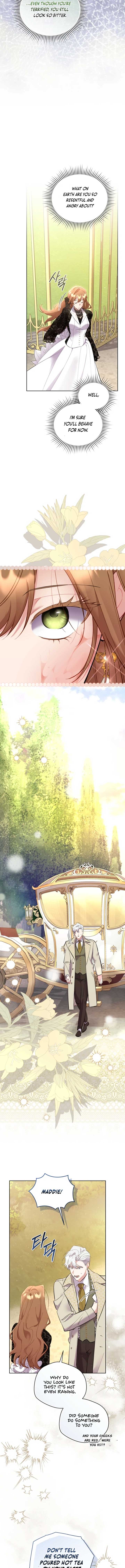 Don’t Worry, We Both Agreed to this Fraudulent Marriage Chapter 42 64 12