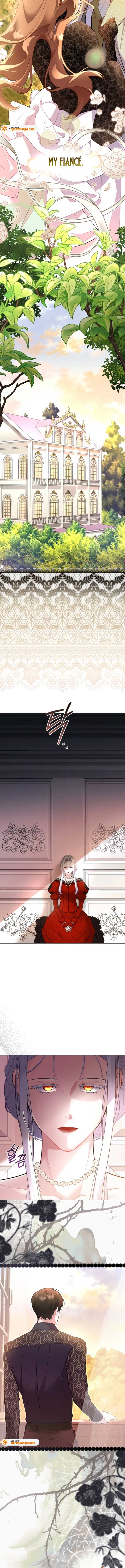 Don’t Worry, We Both Agreed to this Fraudulent Marriage Chapter 42 66 14