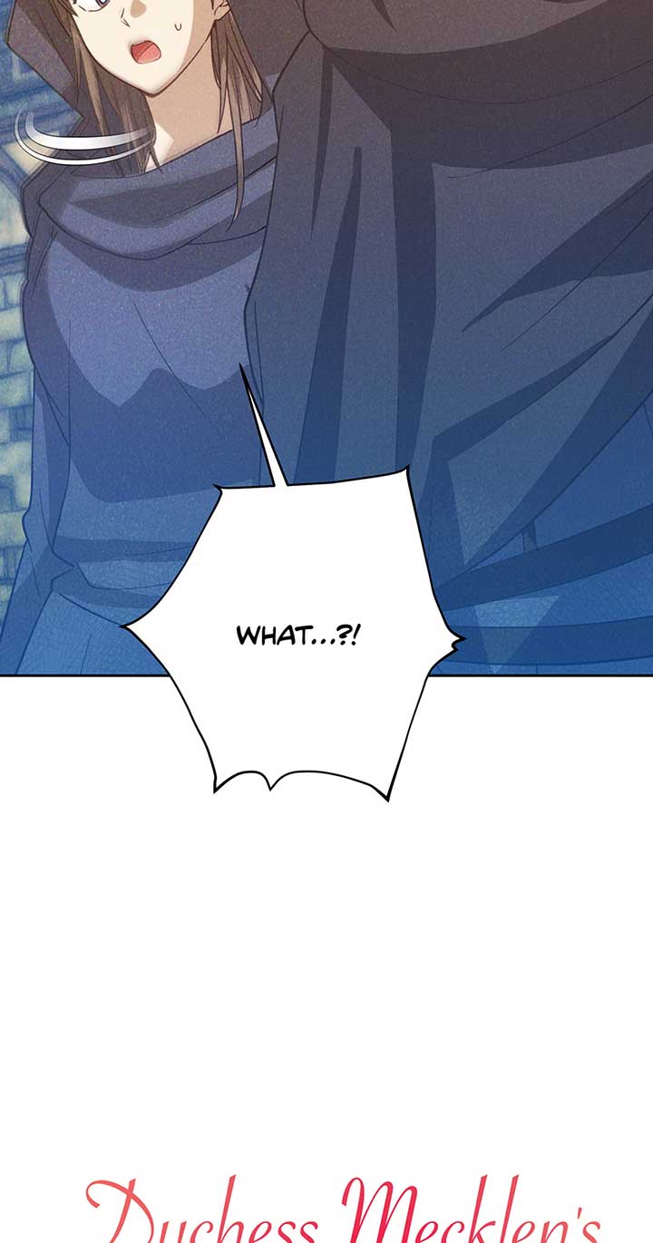 Duchess Mecklen’s Elegant Rebellion Chapter 32 290 22