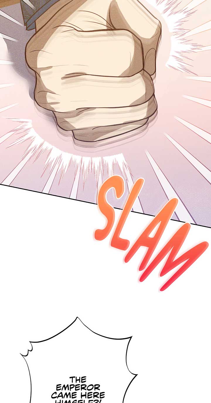 Duchess Mecklen’s Elegant Rebellion Chapter 32 292 24