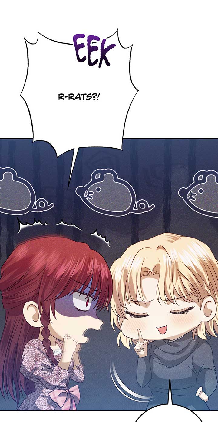 Duchess Mecklen’s Elegant Rebellion Chapter 33 261 17