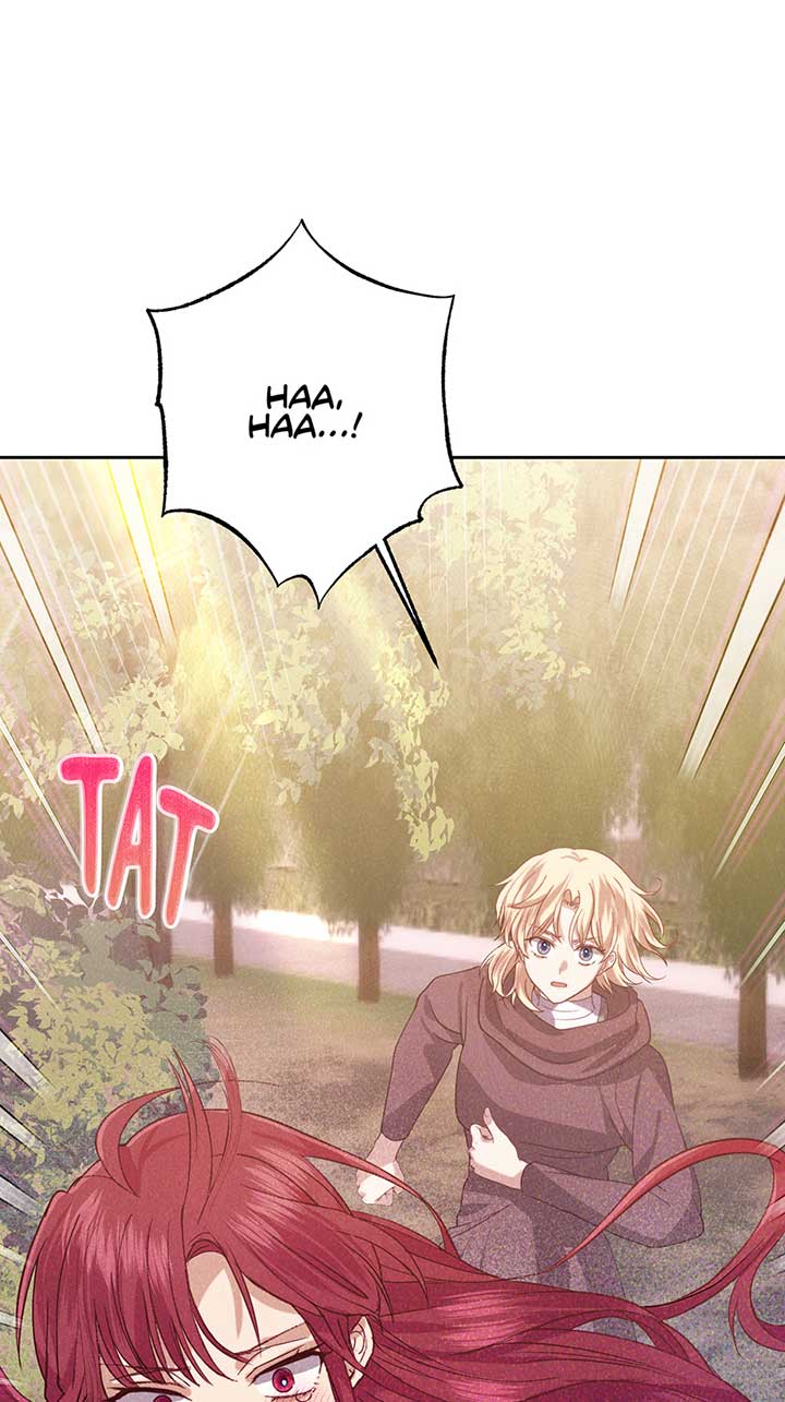 Duchess Mecklen’s Elegant Rebellion Chapter 33 287 43