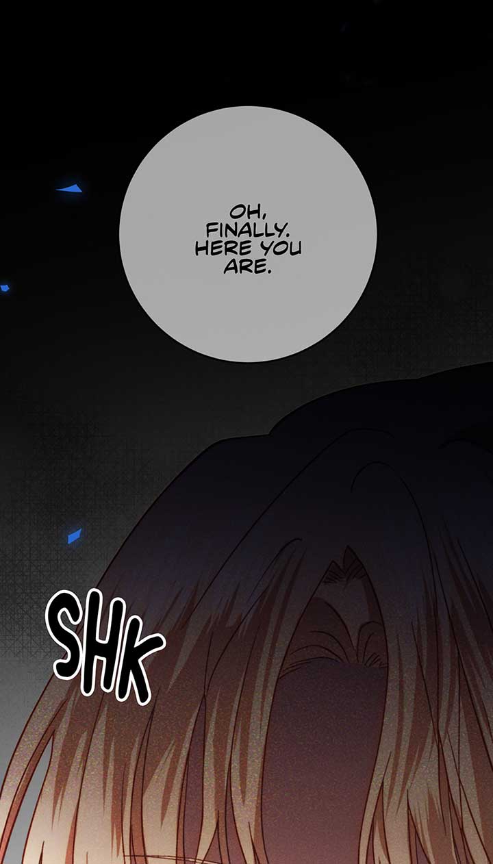 Duchess Mecklen’s Elegant Rebellion Chapter 33 295 51