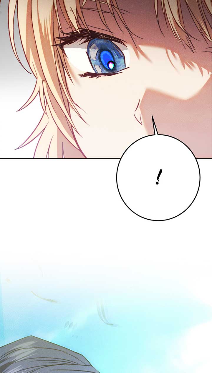 Duchess Mecklen’s Elegant Rebellion Chapter 33 296 52