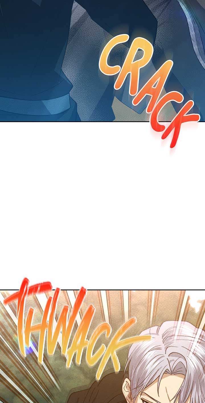 Duchess Mecklen’s Elegant Rebellion Chapter 33 306 62