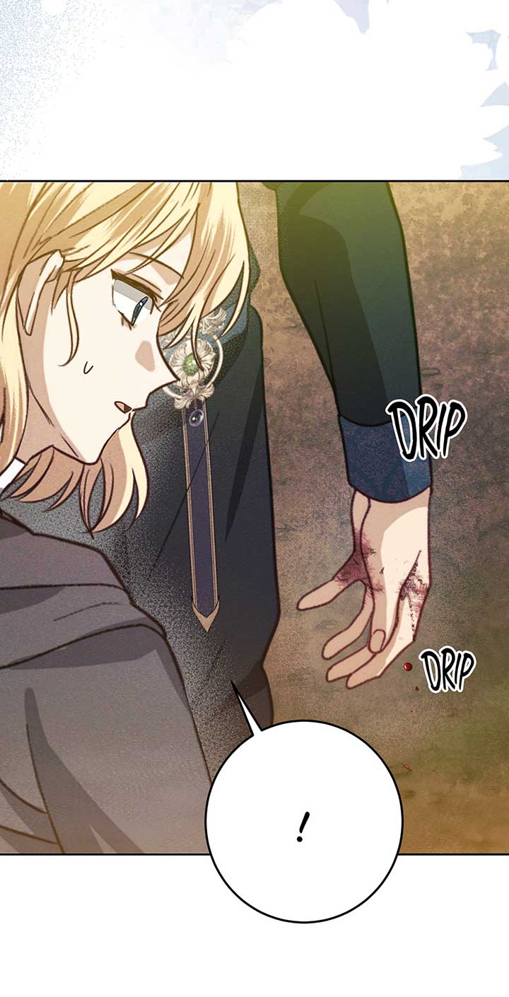 Duchess Mecklen’s Elegant Rebellion Chapter 33 314 70