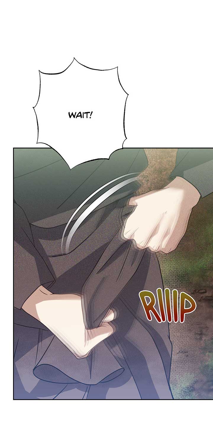 Duchess Mecklen’s Elegant Rebellion Chapter 33 315 71