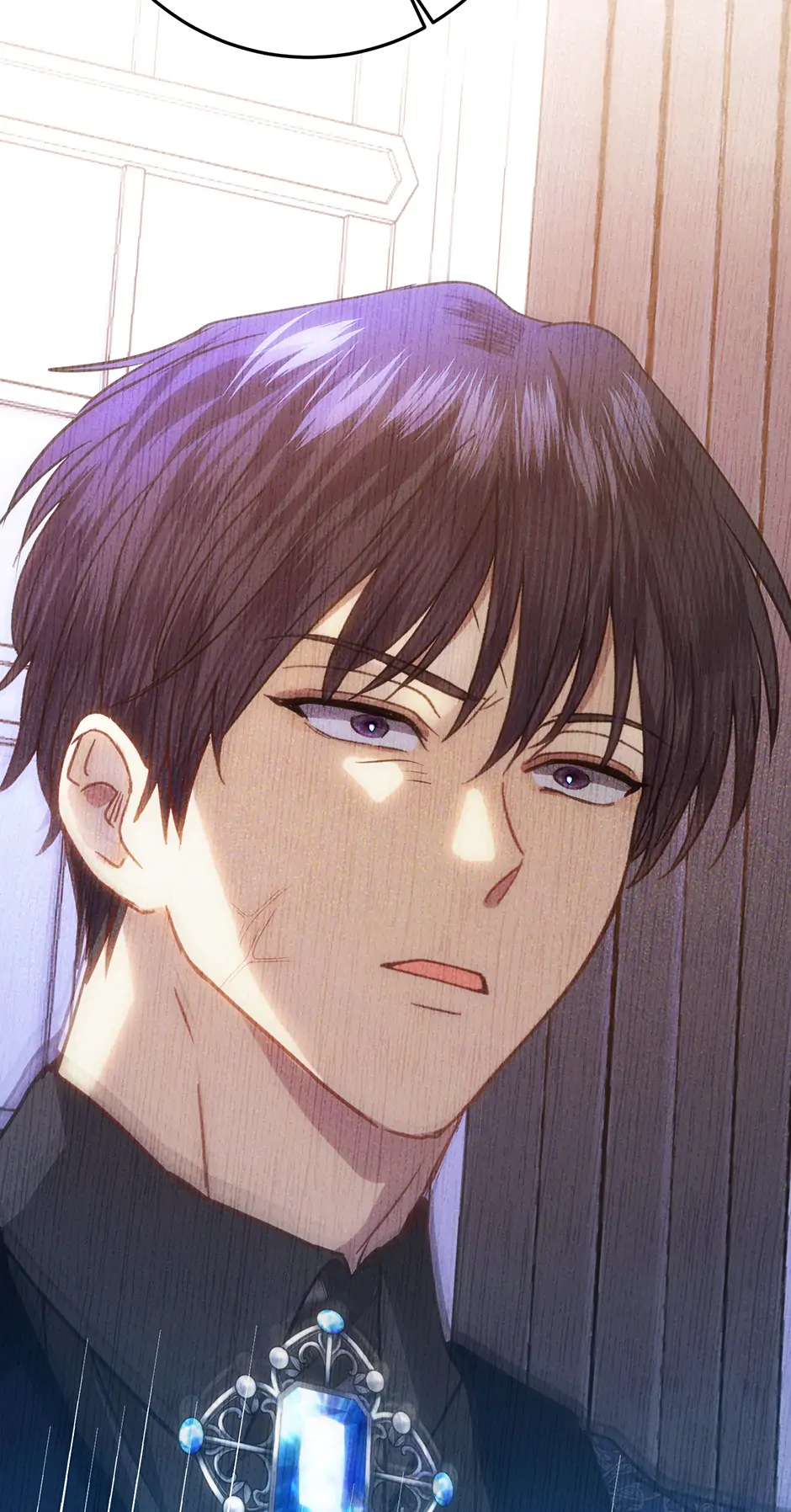 Duchess Mecklen’s Elegant Rebellion Chapter 38 375 047