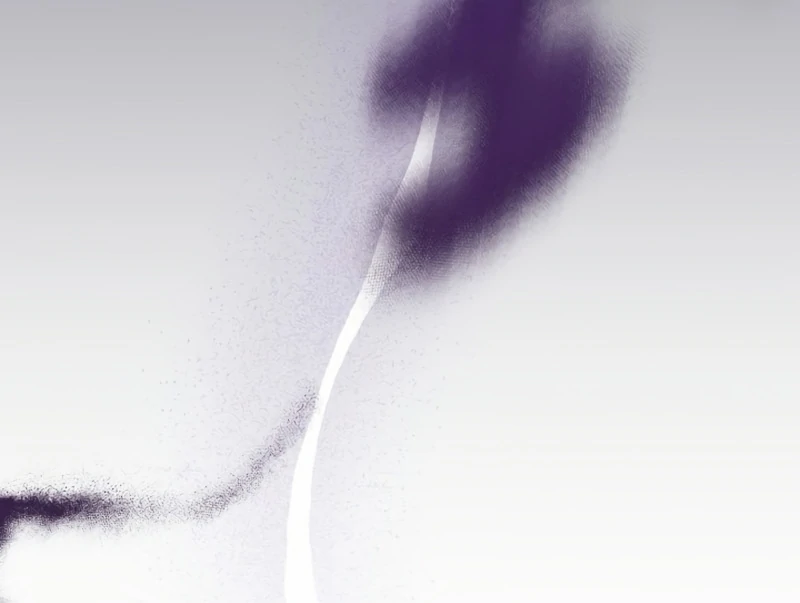 Duchess Mecklen’s Elegant Rebellion Chapter 54 534 044