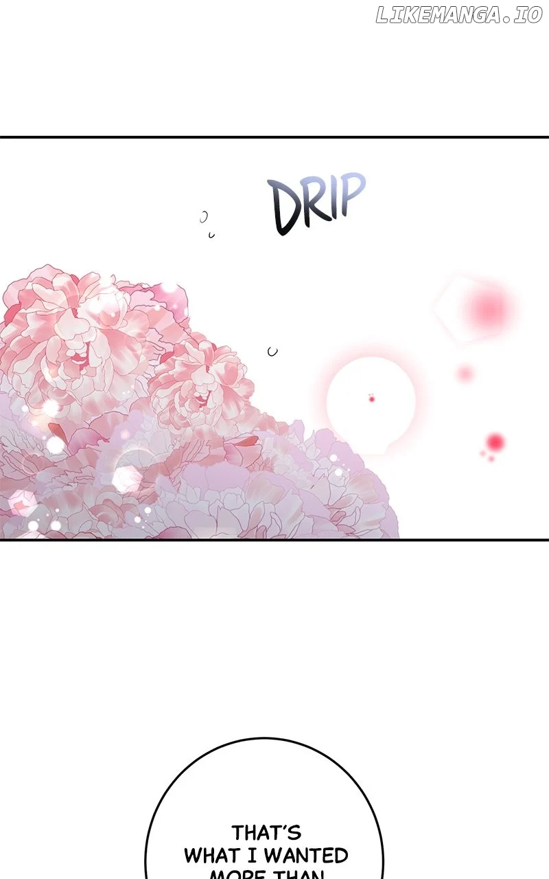 Extroversion of an Immortal Chapter 80 342 ch 80 29