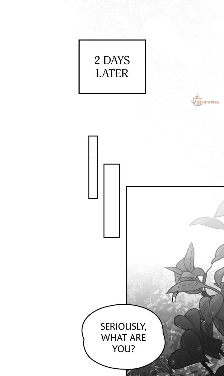 Falling for a Dying Princess Chapter 91 231 ch 91 23