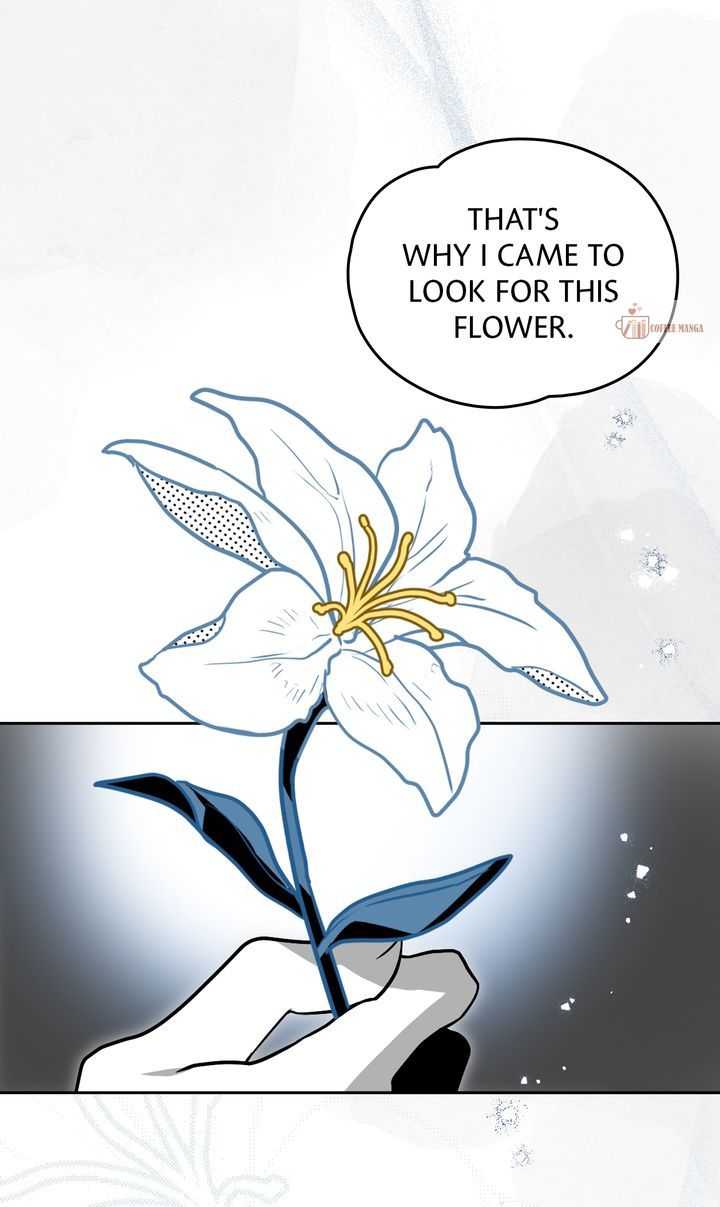 Falling for a Dying Princess Chapter 91 248 ch 91 40