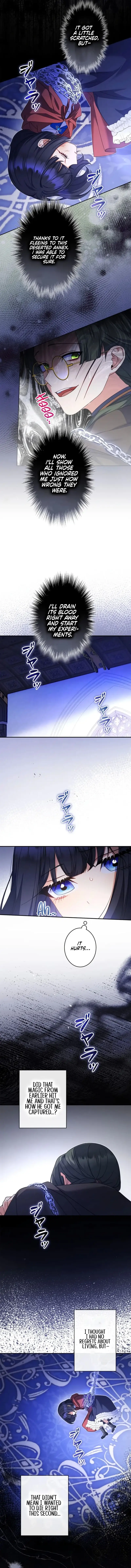 Father, I Won’t Do Anything Chapter 13 48 ch 13 2